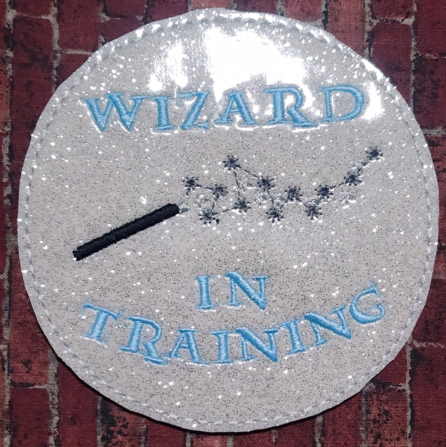Wizard in training coaster